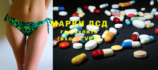 ПСИЛОЦИБИНОВЫЕ ГРИБЫ Заводоуковск