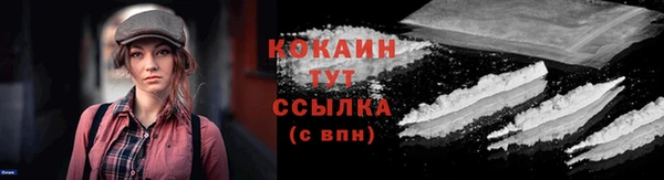 ПСИЛОЦИБИНОВЫЕ ГРИБЫ Заводоуковск