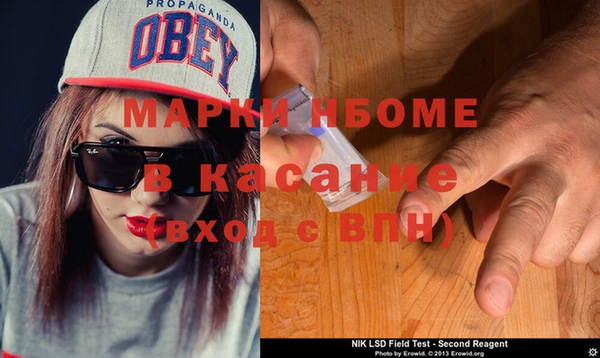 стаф Зерноград