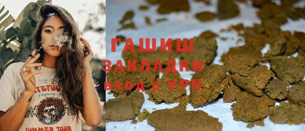 стаф Зерноград
