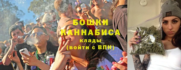 ПСИЛОЦИБИНОВЫЕ ГРИБЫ Заводоуковск