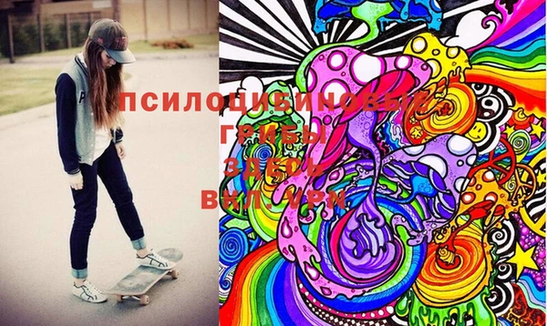 ПСИЛОЦИБИНОВЫЕ ГРИБЫ Заводоуковск