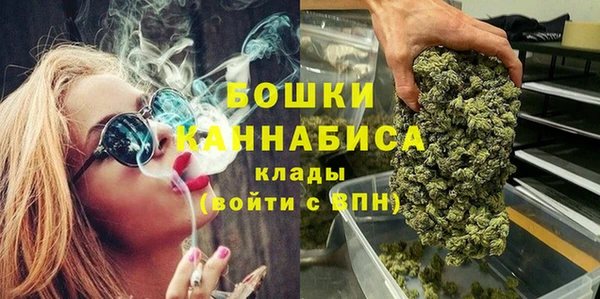 ПСИЛОЦИБИНОВЫЕ ГРИБЫ Заводоуковск