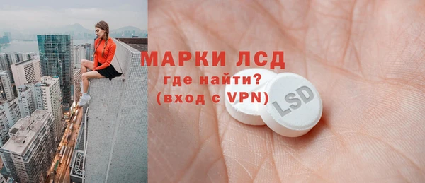 ПСИЛОЦИБИНОВЫЕ ГРИБЫ Заводоуковск
